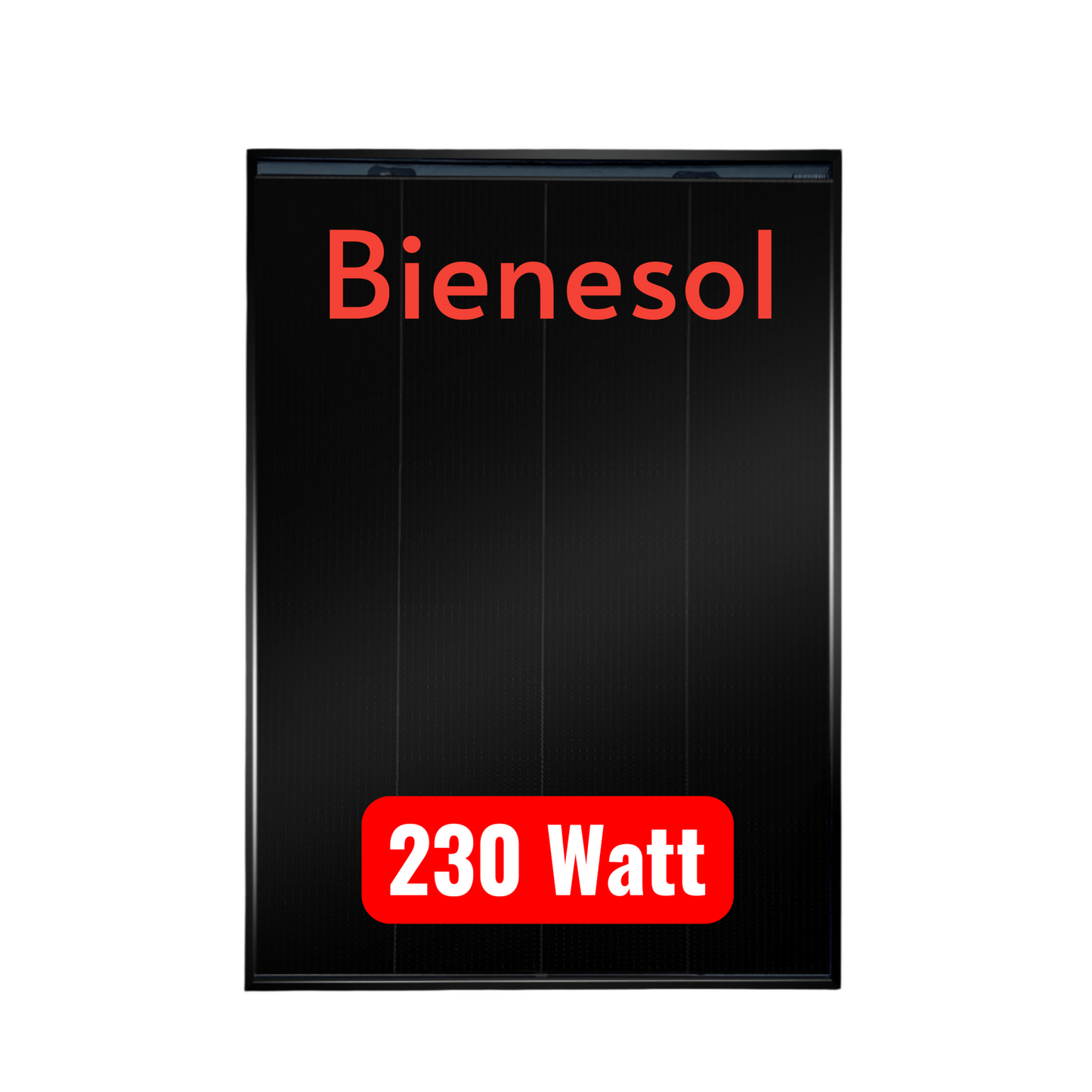 Bienesol 230 Watt bifazial Full Black