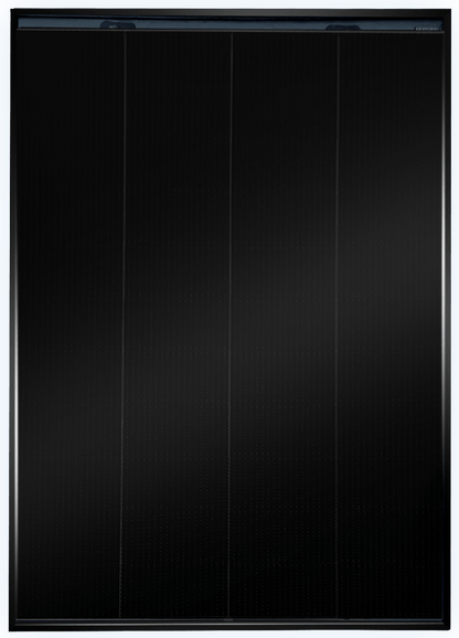 Bienesol 230 Watt bifazial Full Black